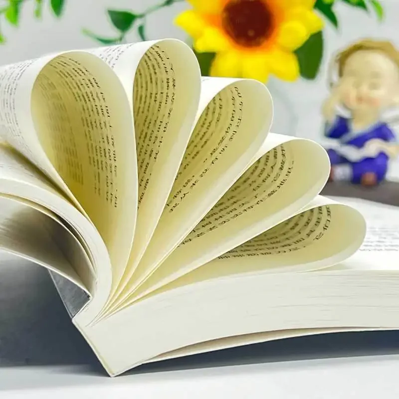 ทั้งหมดเงียบบนคําสะท้อนการแปลภาษาจีนด้านหน้าตะวันตกและการเติบโตในสงคราม หนังสือนวนิยายต่อต้านสงครามคลาสสิก