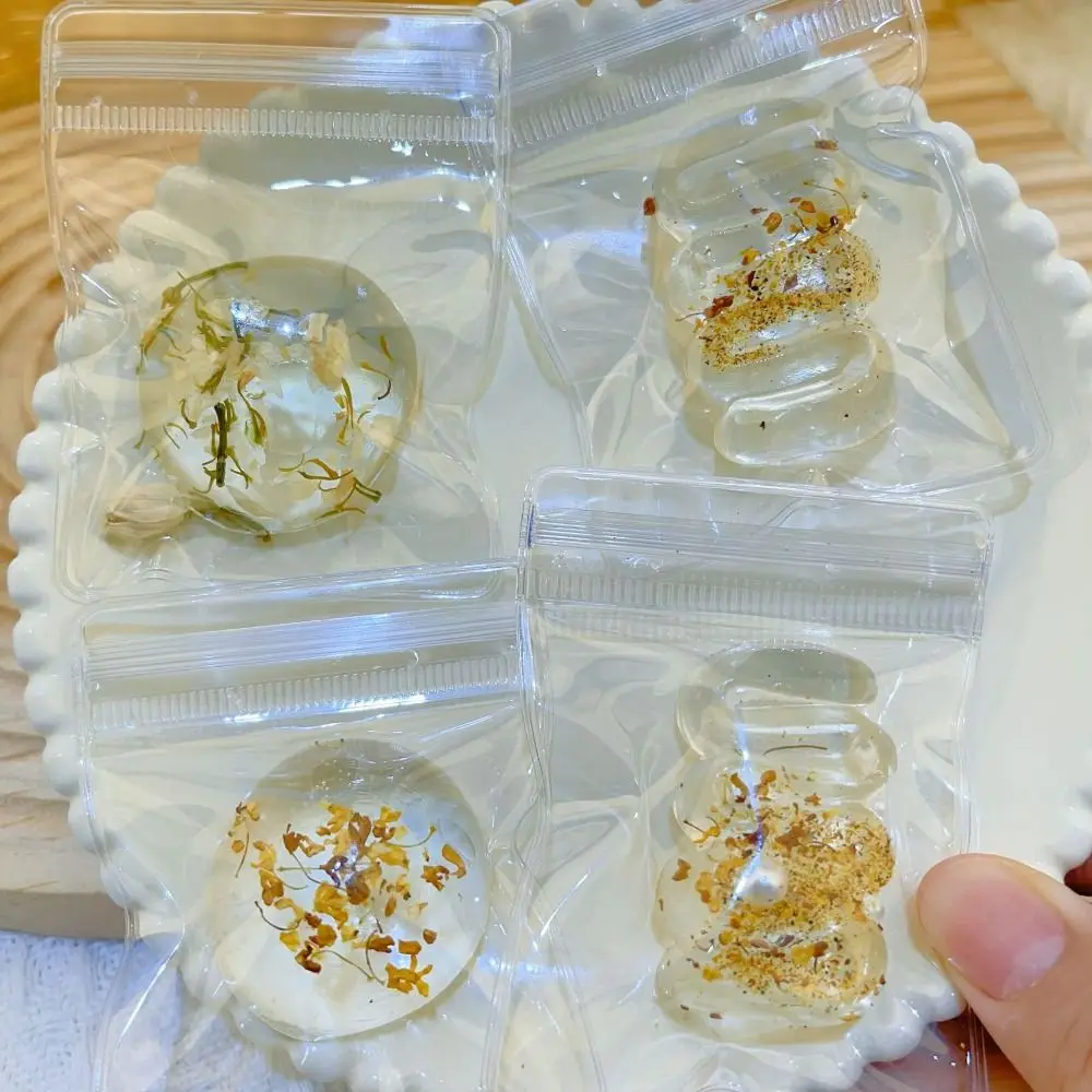 Jouet de simulation de gâteau d'osmanthus transparent pour enfants, jouet à presser doux, tortue animale, augmentation lente, Kawaii