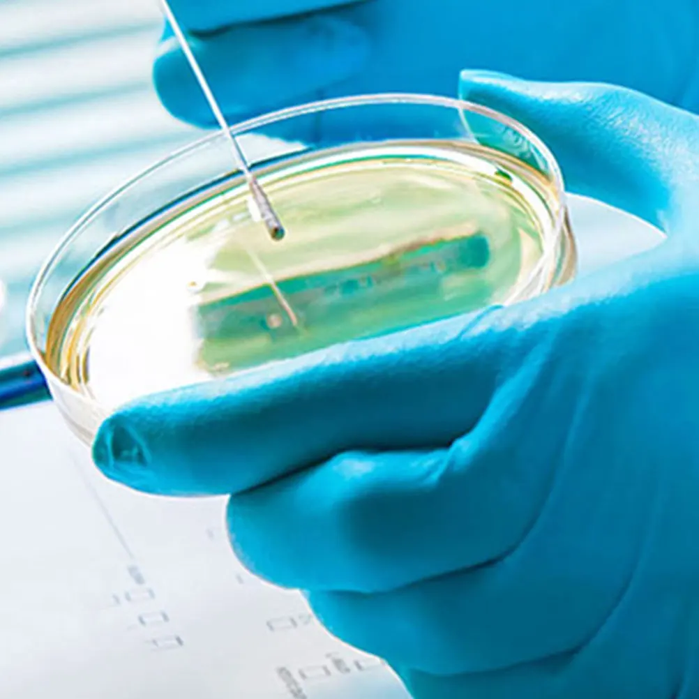 

10pcs 100mm Plastic Dish Lid Resistant Chemistry Tools Portable Science Laboratory Dishes Clear Petri