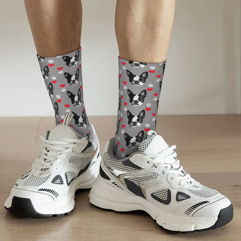 Calcetines de vestir Unisex con estampado 3D para hombre, medias transpirables con estampado de animales y perros, estilo Kawaii, Boston Terrier