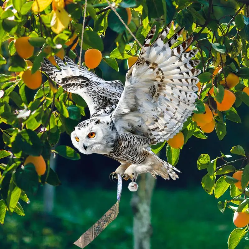 Waterproof Bird Scarer Simulation Owl Bird Repellent Pest Control Artificial Scarecrow With Reflective