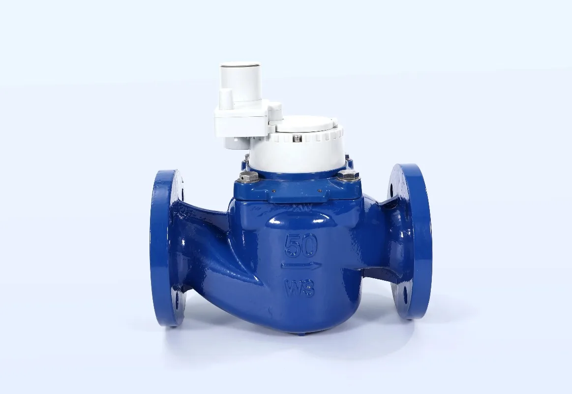 LORAWAN Wireless Remote Water Meter