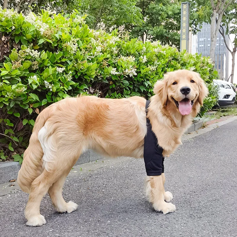 Dog Elbow Brace Protector Anti-Lick Wound Soft Breathable Pain Relief Shoulder Support Elbow Sleeves Pads for Canine Elbow