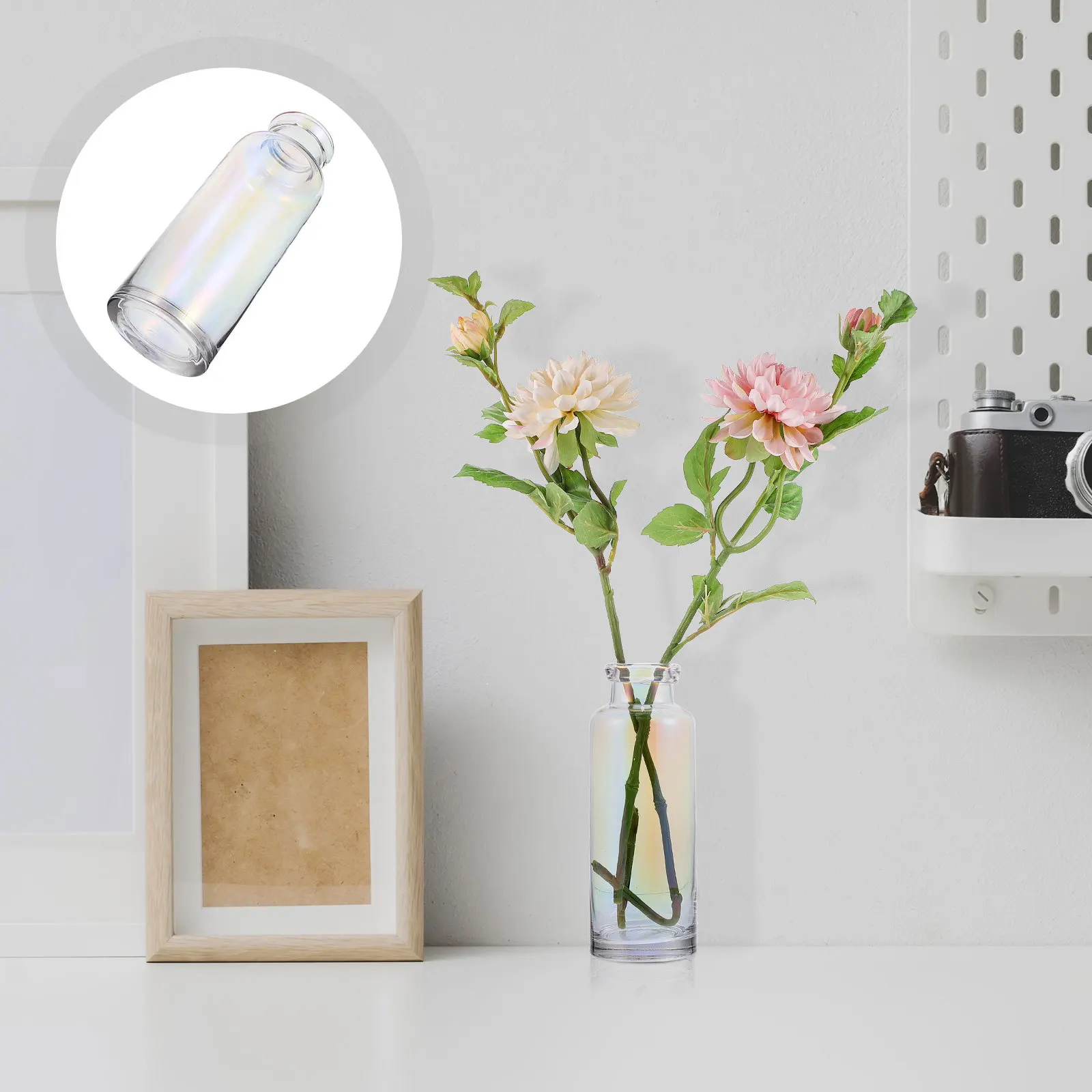 

Hydroponics Glass Vase Planter Desktop Colorful Glass Flower Vase for Home Decoration Garden Plant Container Plant Terrarium