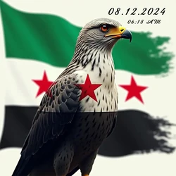 Syria Flag and Eagle Car Sticker Vinyl Decal Waterproof Auto Decors for Bumper Rear Windshield Laptop Motocycle Truck Van