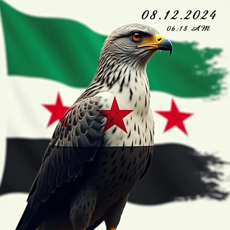 Syria Flag and Eagle Car Sticker Vinyl Decal Waterproof Auto Decors for Bumper Rear Windshield Laptop Motocycle Truck Van