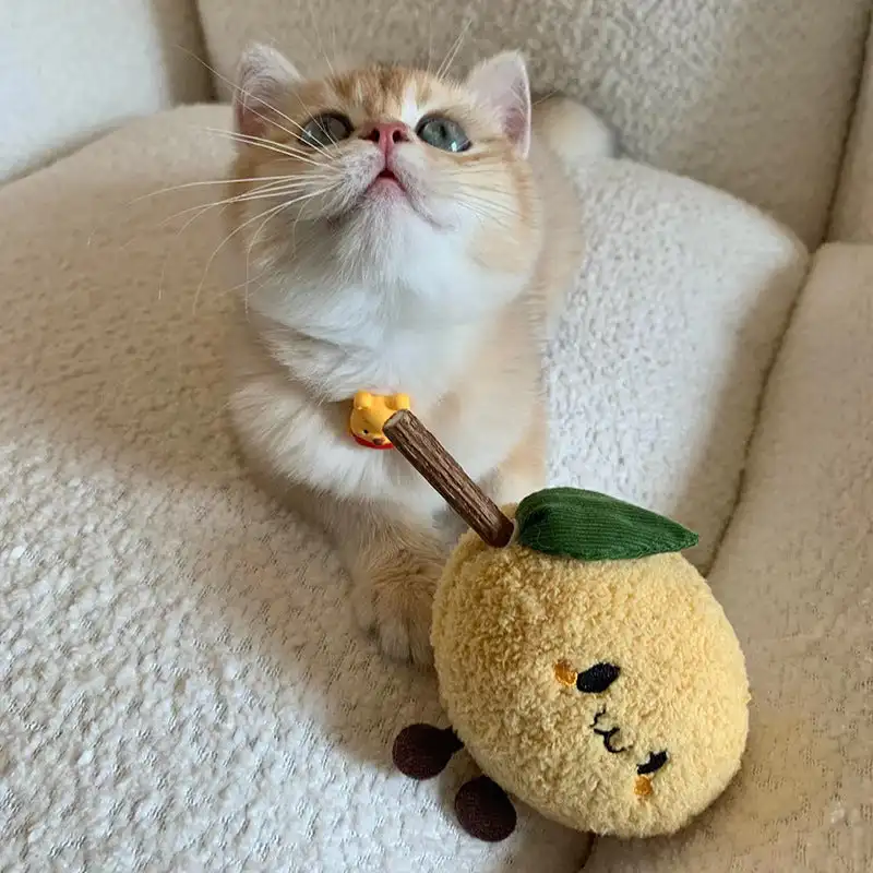 Toocat cute cat gnawing teeth grinding stick  toy wooden polygonum cat self-hi artifact cat teasing stick pet toy