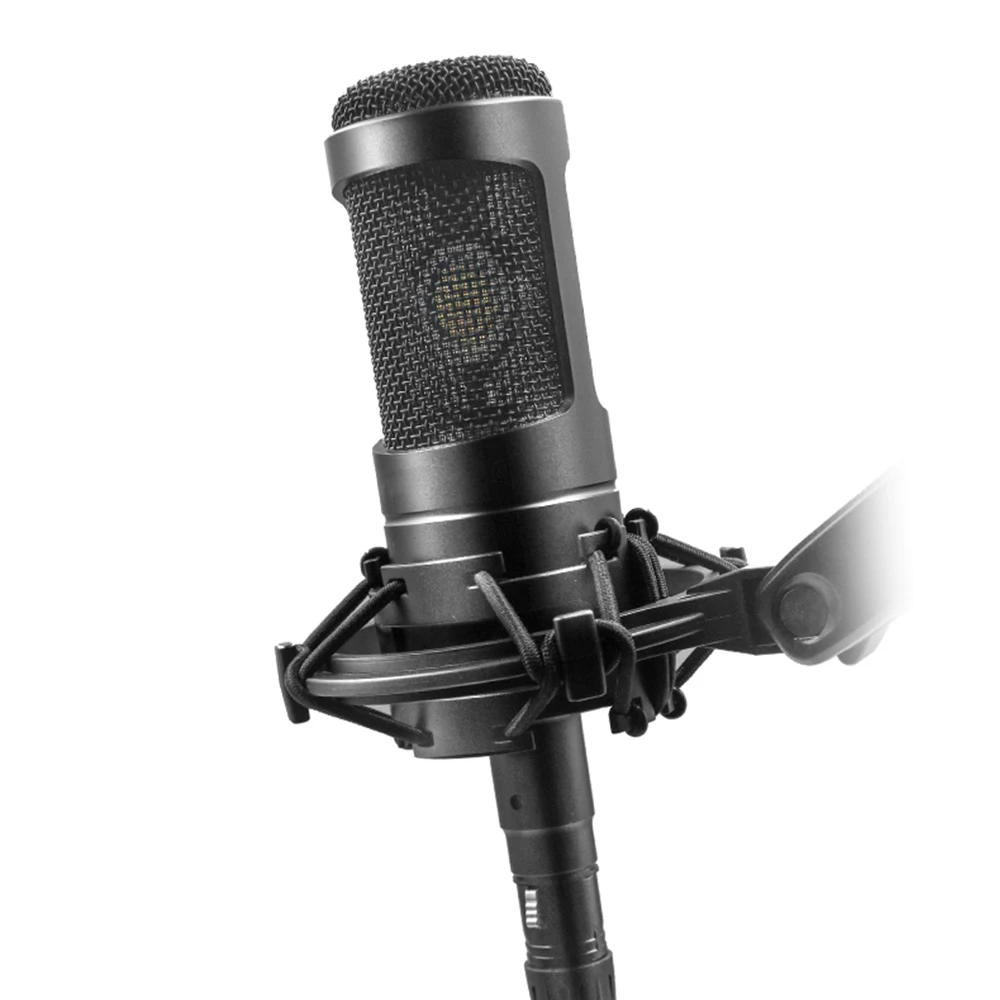 AT2035 Professional Studio Condenser Microphone Cardioid Pattern Wide Dynamic Range Noise Cancelling for Wired XLR Communication