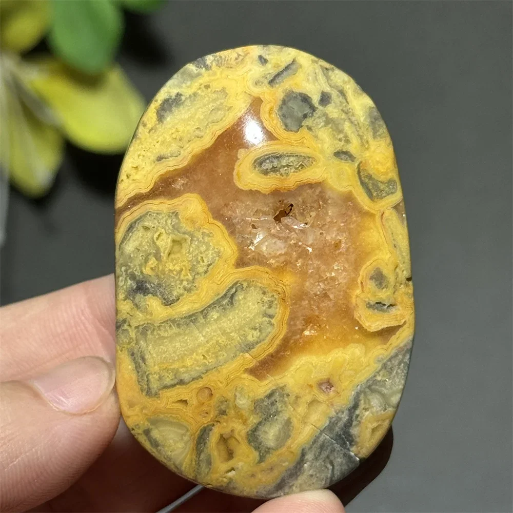 Natural Gemstone Crazy Agate Palm Home Decoration Reiki Healing Massage Mineral Quartz Crafts