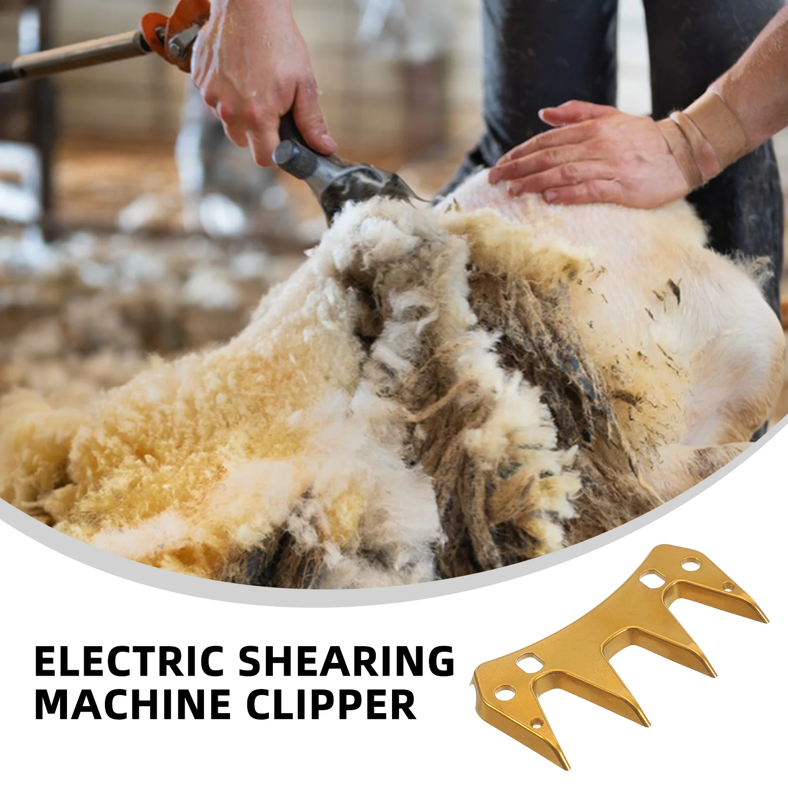 

Sheep Shear Blade Replacement Durable Sharp Efficient Wool Cutting Tool Farm Ranch Enhanced Longlasting Professional