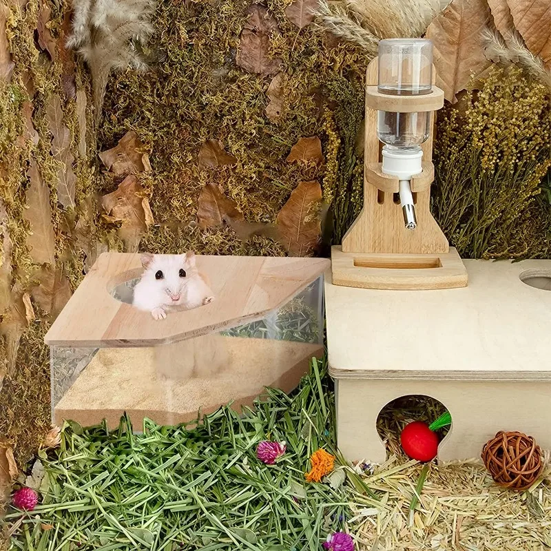 Thumbnail 4 - #3 New Hamster Houses Arrivals