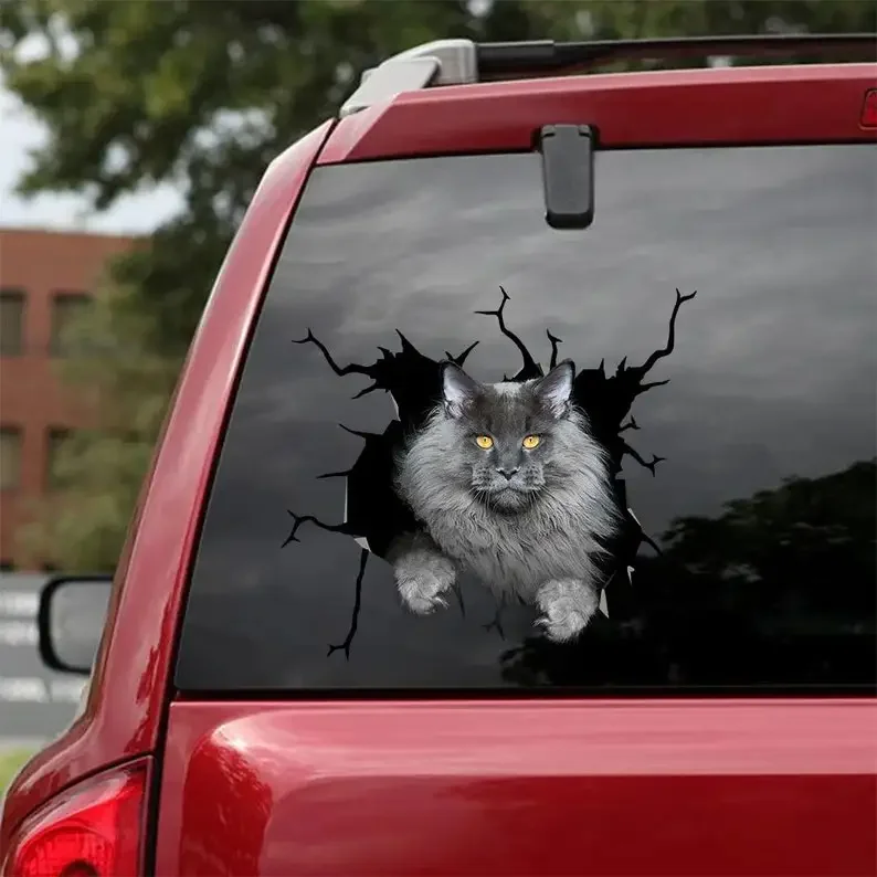 Maine Coon Cat Decal - fits cars,Windows,Laptops and any smooth surface, Maine Coon Cat Stickers, Pet Stickers, Custom Cat Stick