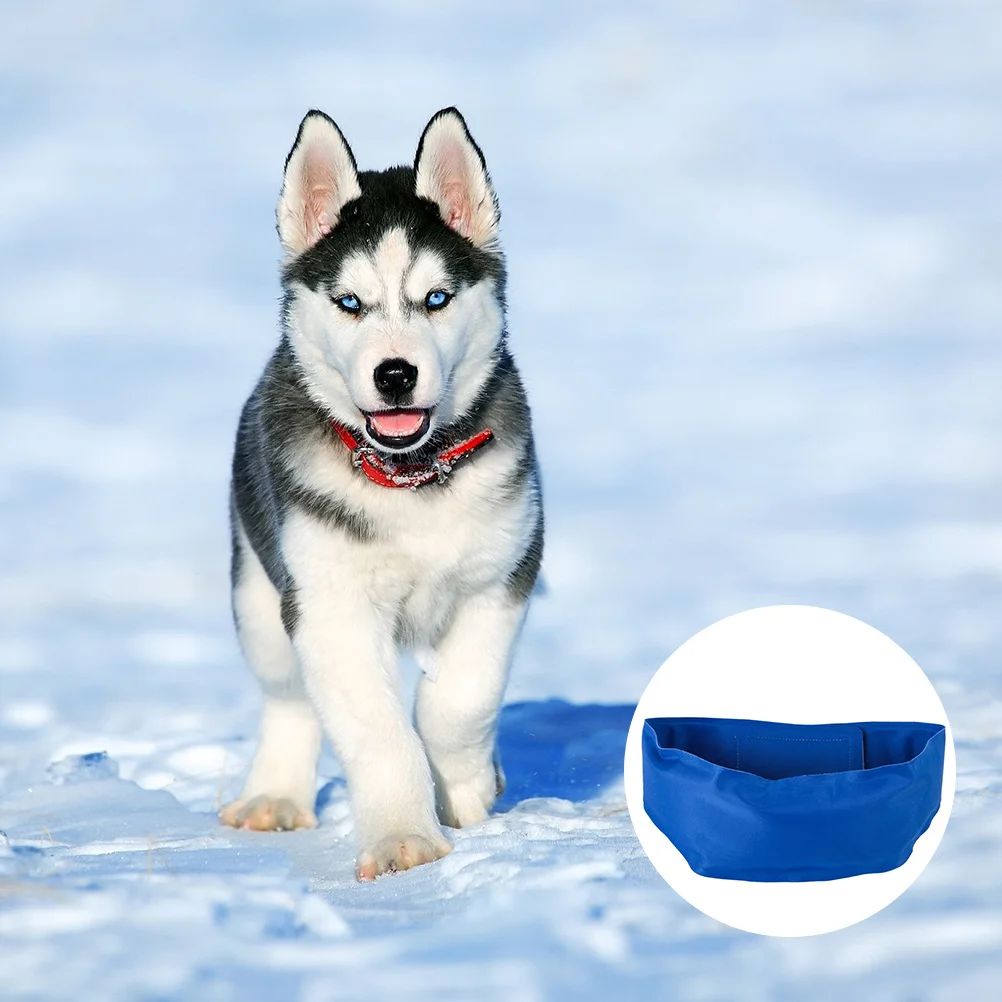 

Cooling Pet Collar Neckerchief Outdoor Cooling Supply Simple Design M Size Pet Decoration Dog Collar