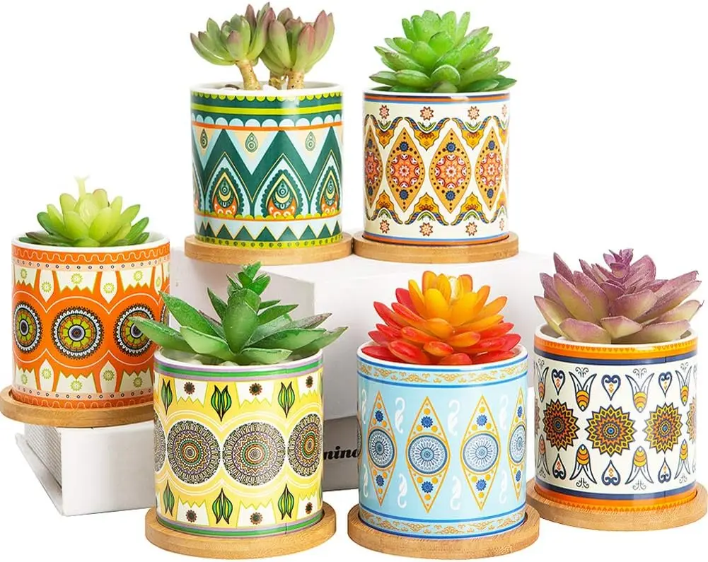 

Succulent Plant Pots - 3.1 inch Ceramic Succulent Planter -Cylinder Flower Pots for Cactus with Drainage Hole and Bamboo