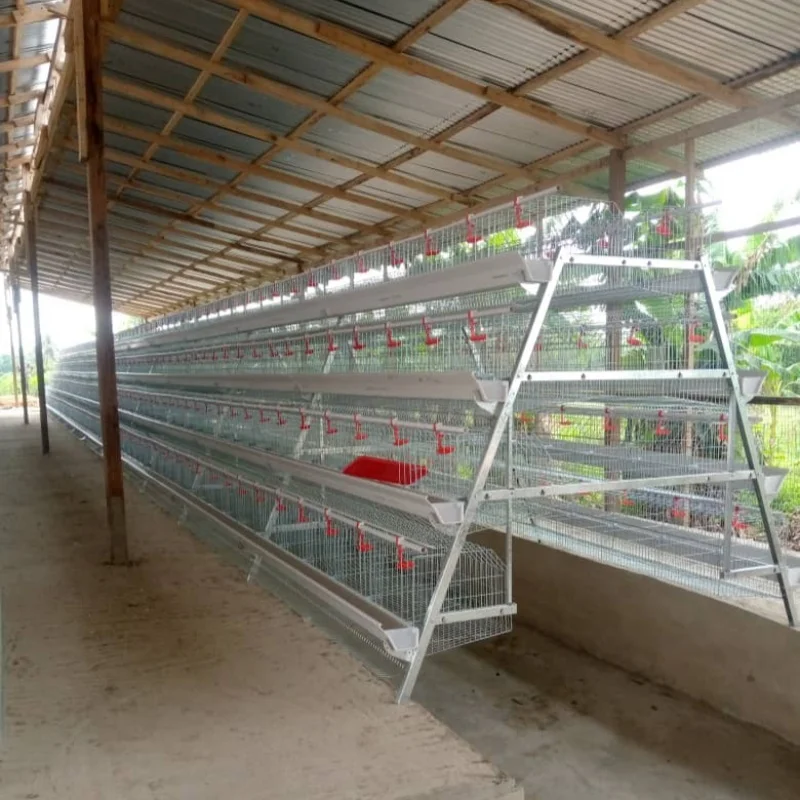 Offre spéciale un Type de Cage à poulet à batterie bon marché fil galvanisé 3/4 niveaux couches Cages à poulet vente dans la ferme avicole du Zimbabwe
