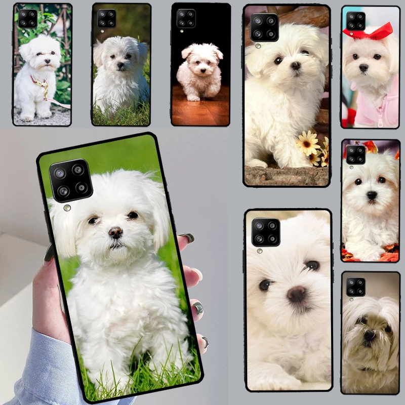 Maltese Dog Puppies Cover For Samsung Galaxy A53 A73 A33 A13 A51 A71 A12 A22 A32 A52 A72 A52S A14 A34 A54 Case