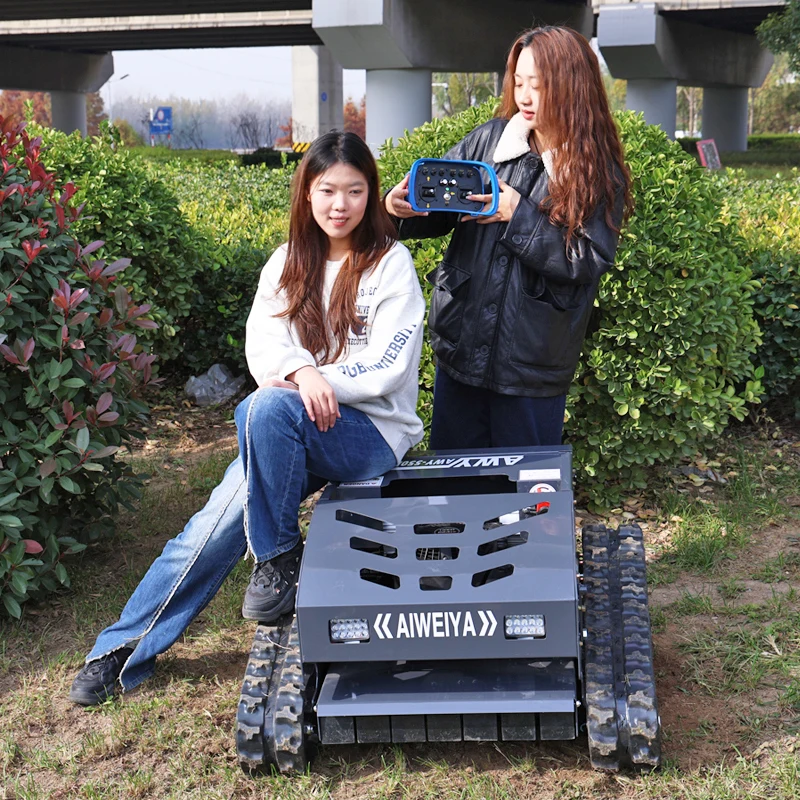 

Customized High Quality CE Approve Grass Cutting Machine Crawler Brush Cutter for Agriculture Electric Remote Control Robot Lawn