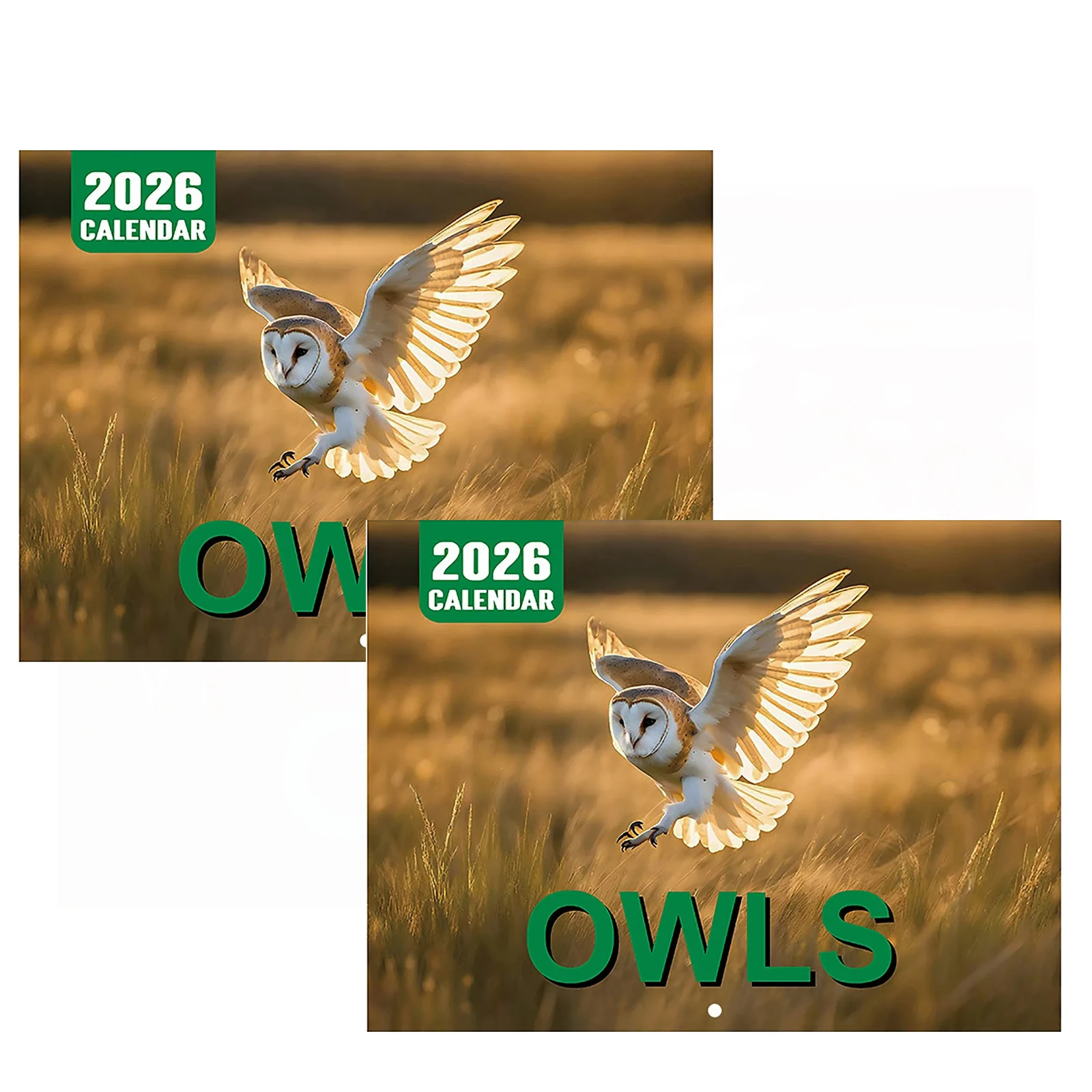 

2026 Calendar Wall Calendar Planner Monthly 2026 Owl-Themed Personal Time Management Supplies For Offices School