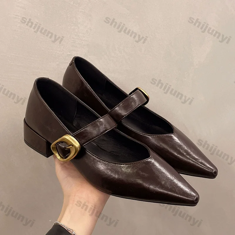 

Women's Metal Buckle Soft Leather Mary Jane Shoes Versatile Vintage Low Heel Single Shoe 2025 Spring New Pointed Mary Jane Shoe