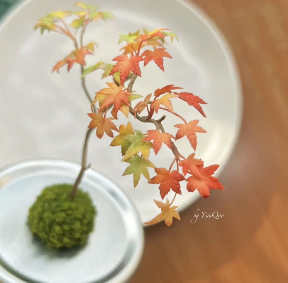 1:6 Miniature Plant Set, Handmade Realistic Fern Maple Caladium Potted,Exclusive Custom Sizes BJD Dollhouse Garden Bjd Decor Art