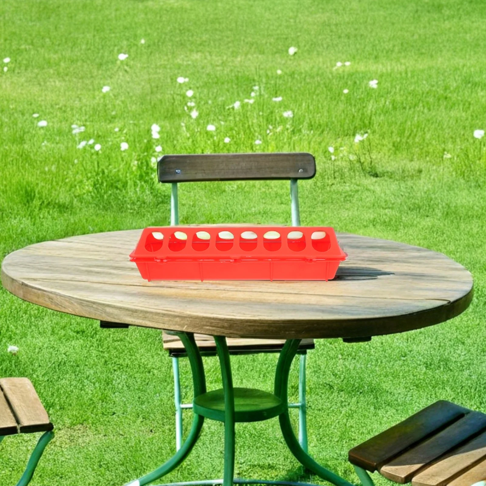 

Pigeon Feeder Durable Plastic Spill Proof Large Trough Poultry Feeding Dish Bird Cage Food Box Feeding Box Poultry Feeder