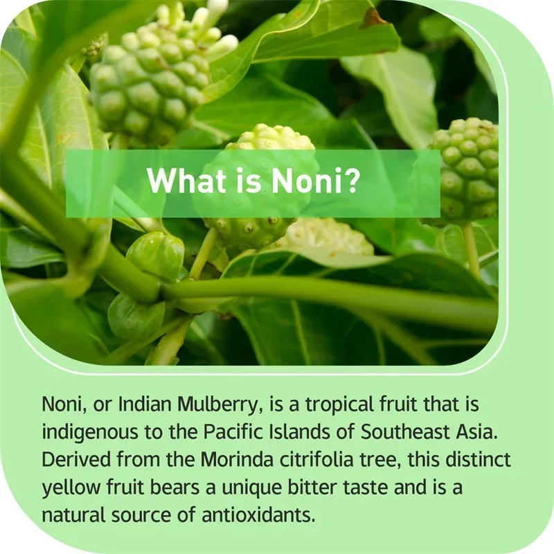 Noni Fruit - Energy Boost, Skin Health, Boosts Immune System, Antioxidant - Non-GMO, Gluten-free