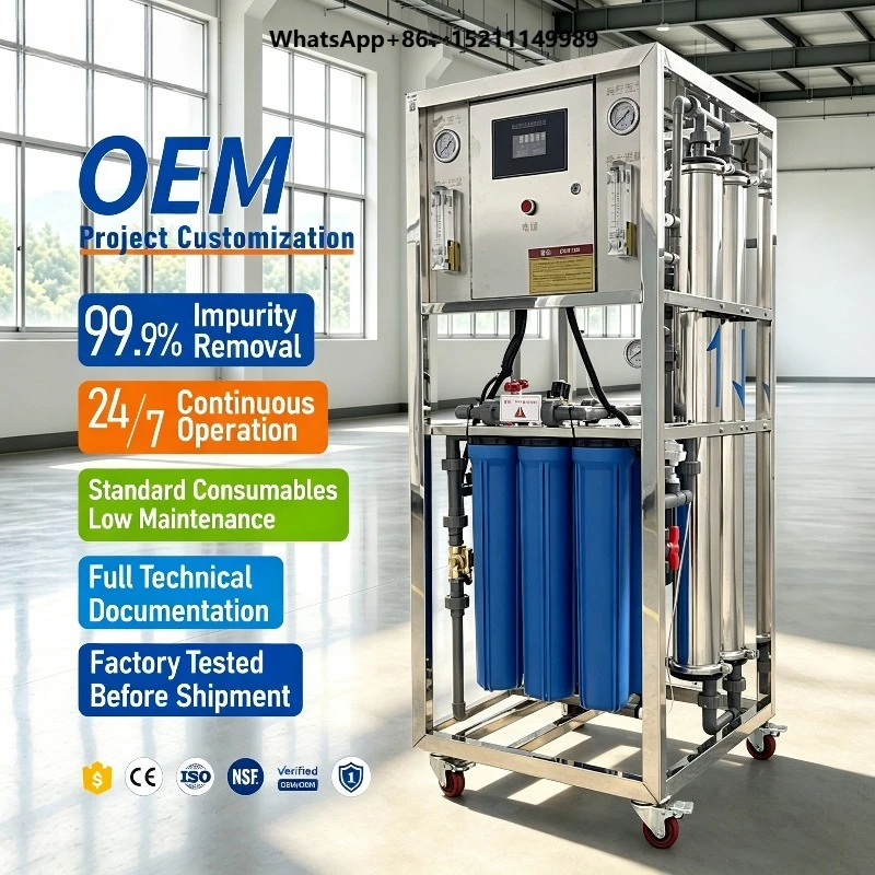 Small Factory Drinking Water Treatment Equipment Well Water Reverse Osmosis Machinery RO Filter Mineral Water