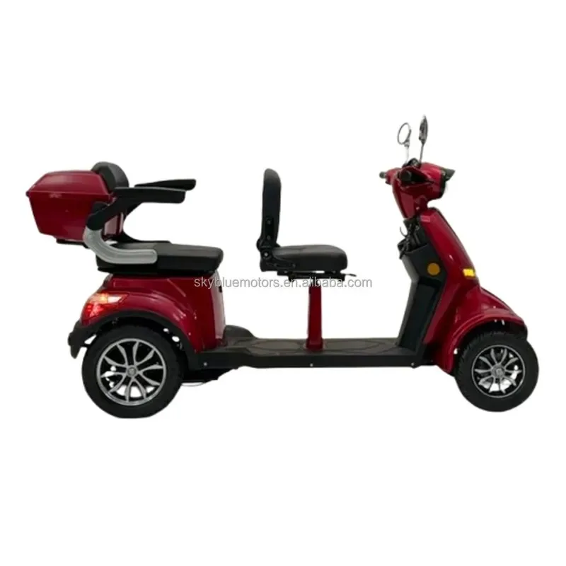 2025 High-Quality Mobility Scooter 1000W Two-Seat Electric Motorcycle For The Elderly 25KM/H For Sale Suppli