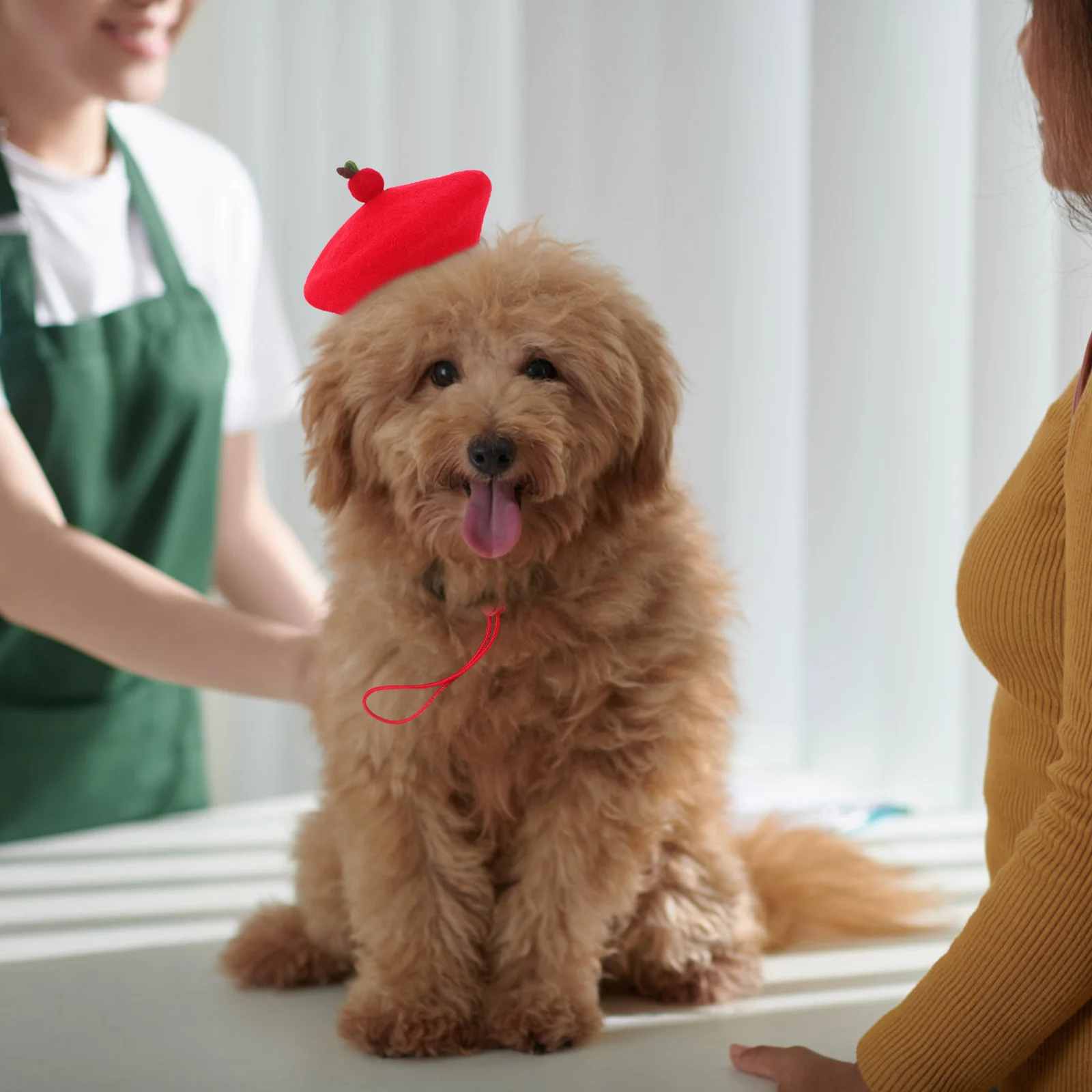 

Pet Wool Beret Hat For Cats And Small Dogs Felt Headwear Costume Cap Ideal For Pet Costume Accessories And Holiday Celebrations