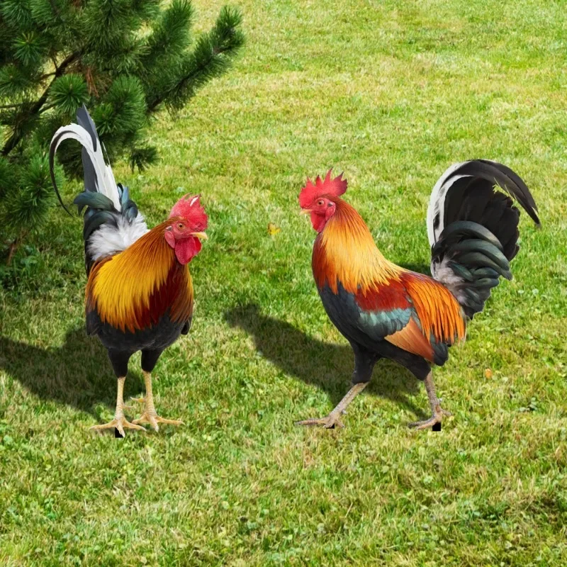 

Creative Garden Rooster Statue Chicken Sculpture Courtyard Decoration Home Yard Backyard Outdoor Decoration