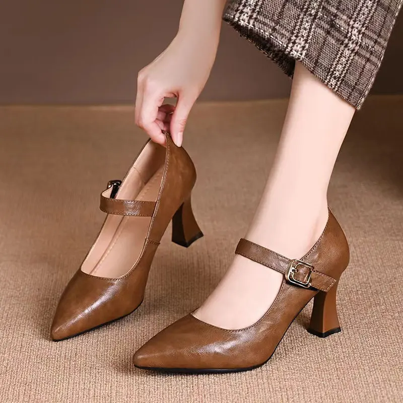 Retro Brown Black Mary Jane Pumps Women\'s Fashion Pointed Chunky Heel High Heels Elegant Simple Solid Color Office Women\'s Shoes