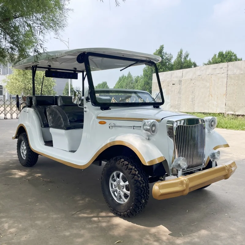 Custom Color Golf Garden Car 5 8 11 14 Seats Vintage Retro Sightseeing Vehicles Car