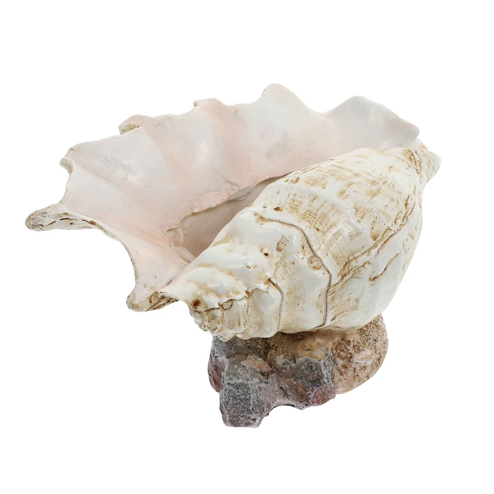 

Simulated Conch Flower Pot Large Seashell Plant Holders Air Planters Retro Decor Shelf Indoor Succulent Resin Home