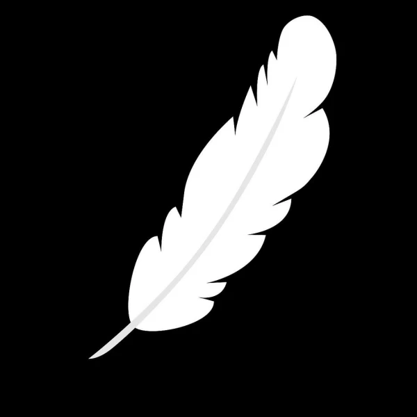 REJORIO Feathers Store