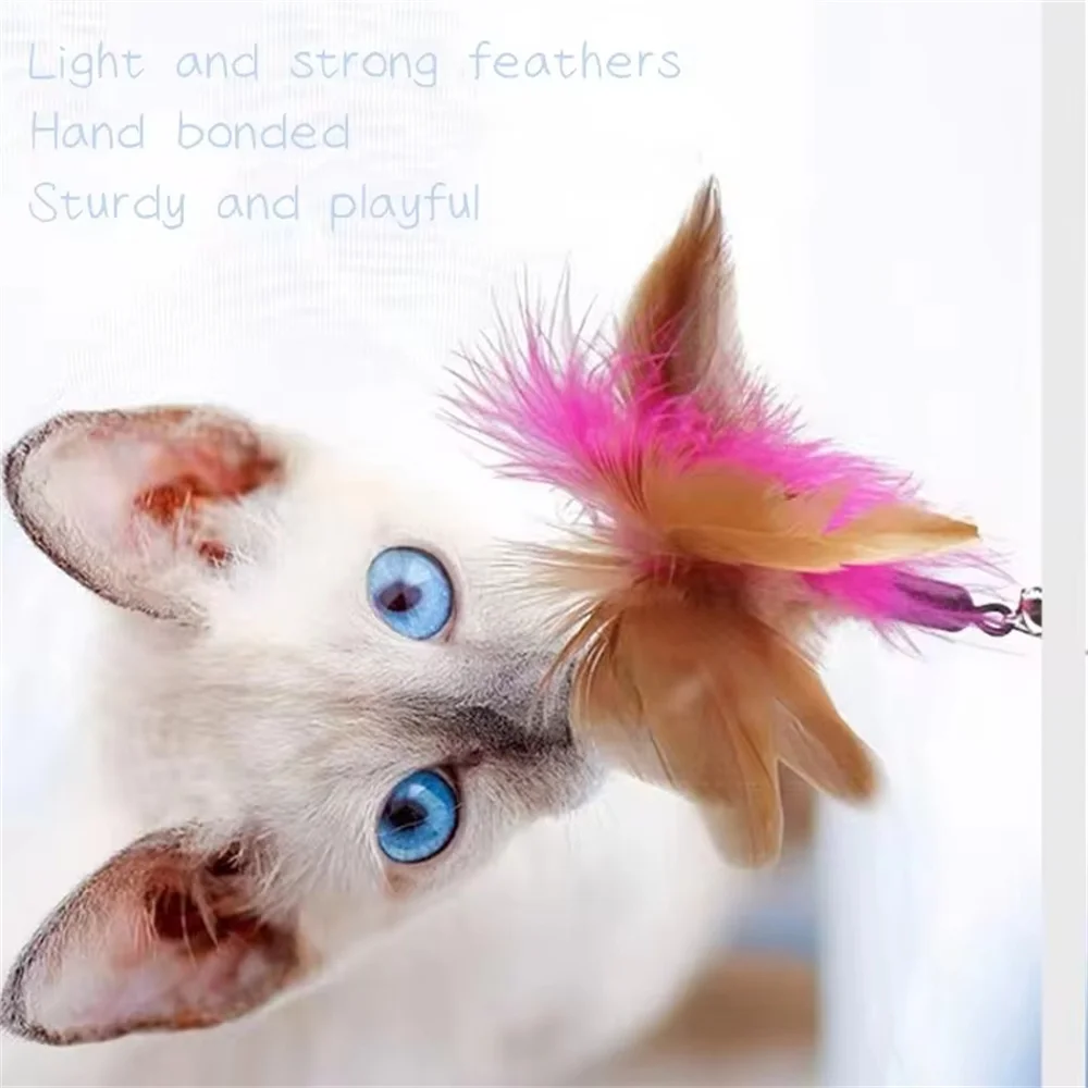 Cat Collar Interactive Toy Feather Teasing Cat Stick With Bell Cats Collar Toys Kitten Training Playing Teaser Wand Pet Supplies