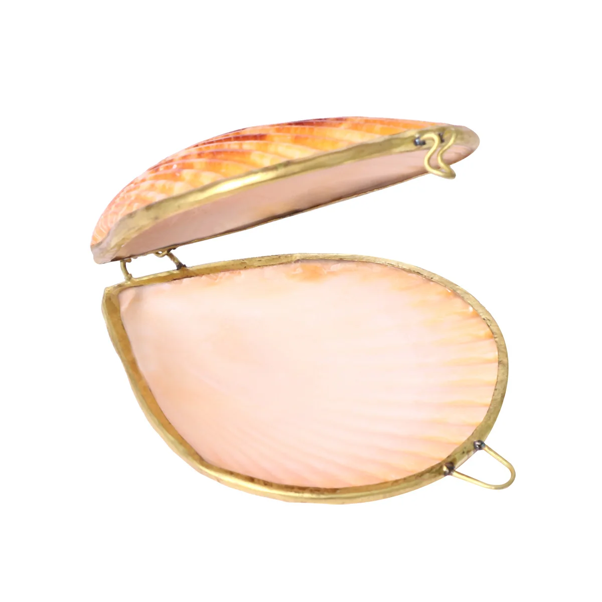 

Natural Shell Jewelry Box 6cm Sea Style Creative Storage Case Ring Earring Organizer Scallop Color for Wedding Birthday