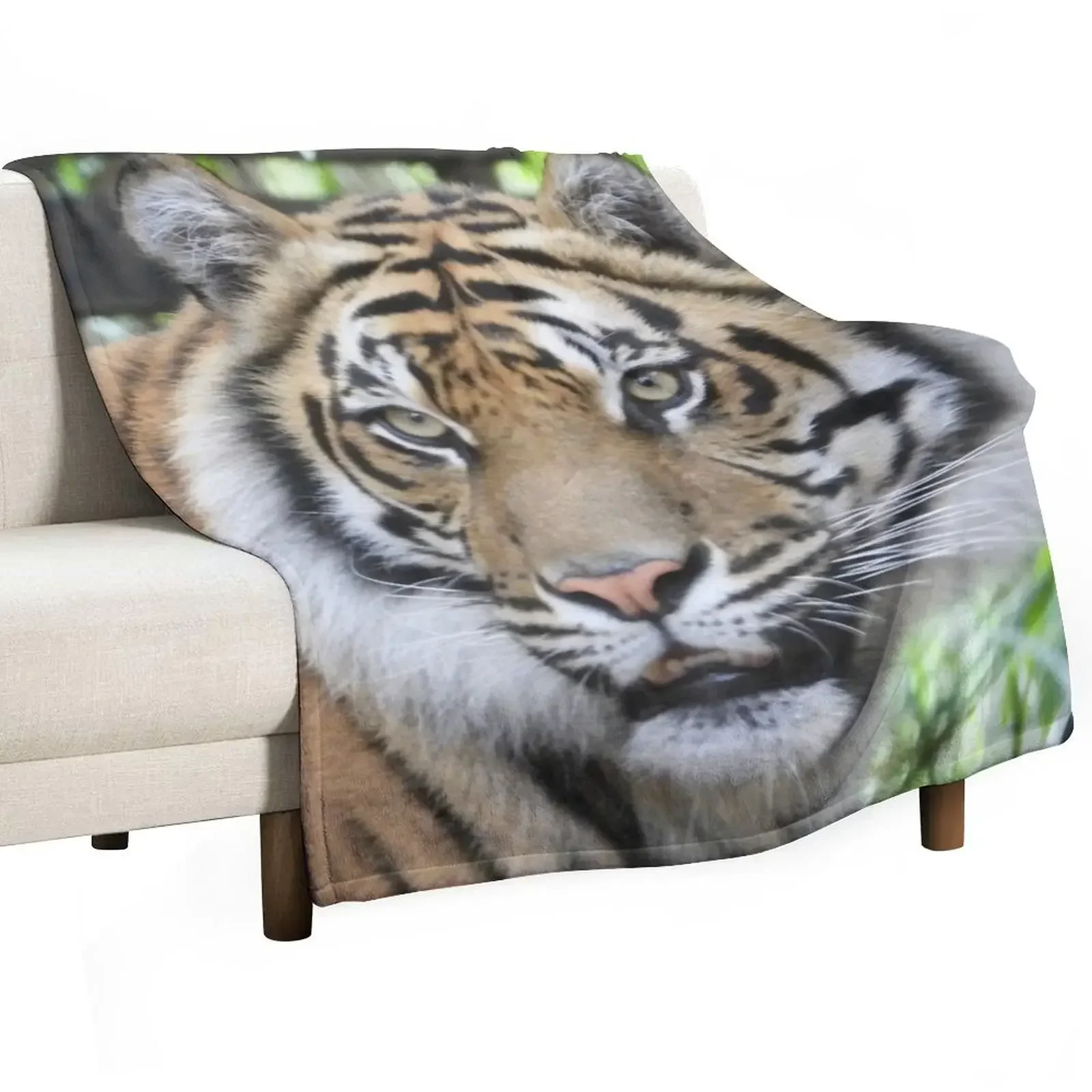 

Sumatran Tiger face at Zoo Throw Blanket Vintage Decorative Throw Blankets