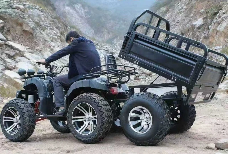 

Внедорожный мотоцикл-багги 250 куб. см с водяным охлаждением, шестиколесный, с карданным приводом, для отдыха и сельского хозяйства