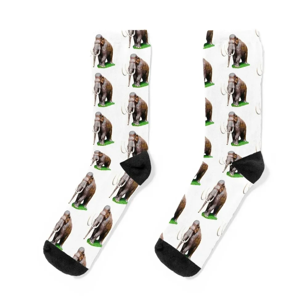 Mammouth Outstanding in his Field Socks floor crazy Man Socks Women's