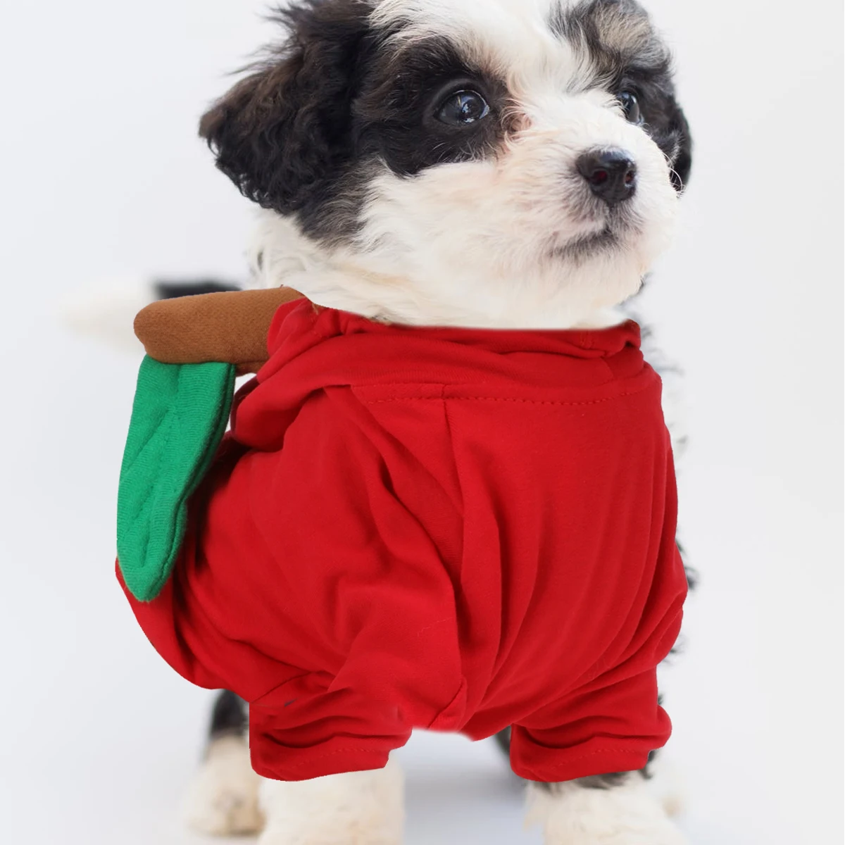

Red Apple Shaped Dog Clothes Pet Costume Funky Pet Supplies For Halloween Christmas Party Outdoor Walking Jogging Durable