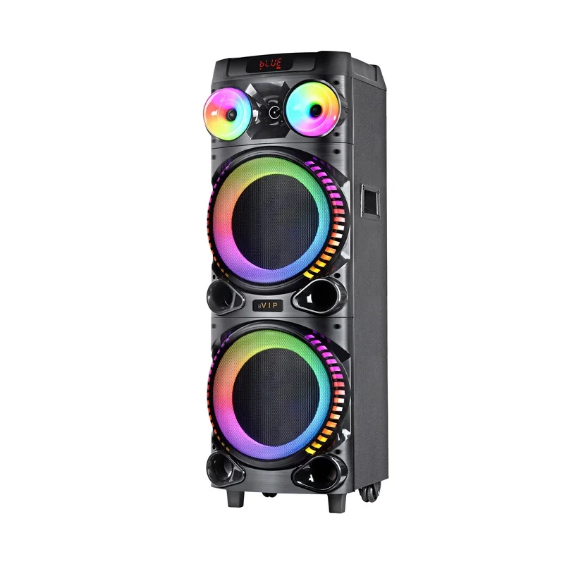 

12 Inch*2 BT Speaker 100W High Power Subwoofer Remote Control Big Speaker Outdoor Square Dance Speaker