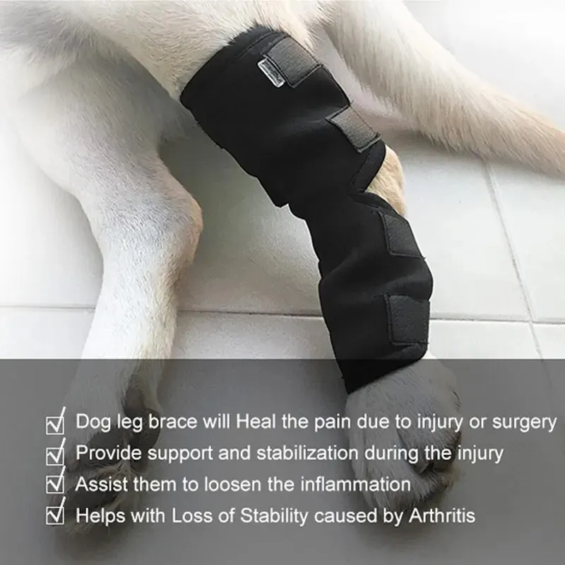 Breathable Dog Knee Support Brace Knee Pads for Hock Joint Wrap Injury Recover Legs Dog Protector Support