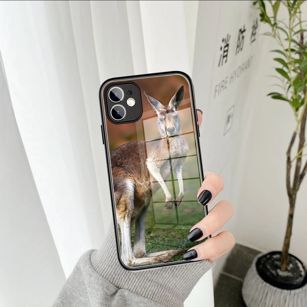 Cute animal kangaroo  Phone Case Tempered Glass FOR IPhone15  14 13 11 12 Pro 8 7 Plus X 13 Pro MAX XR XS MINI Covers