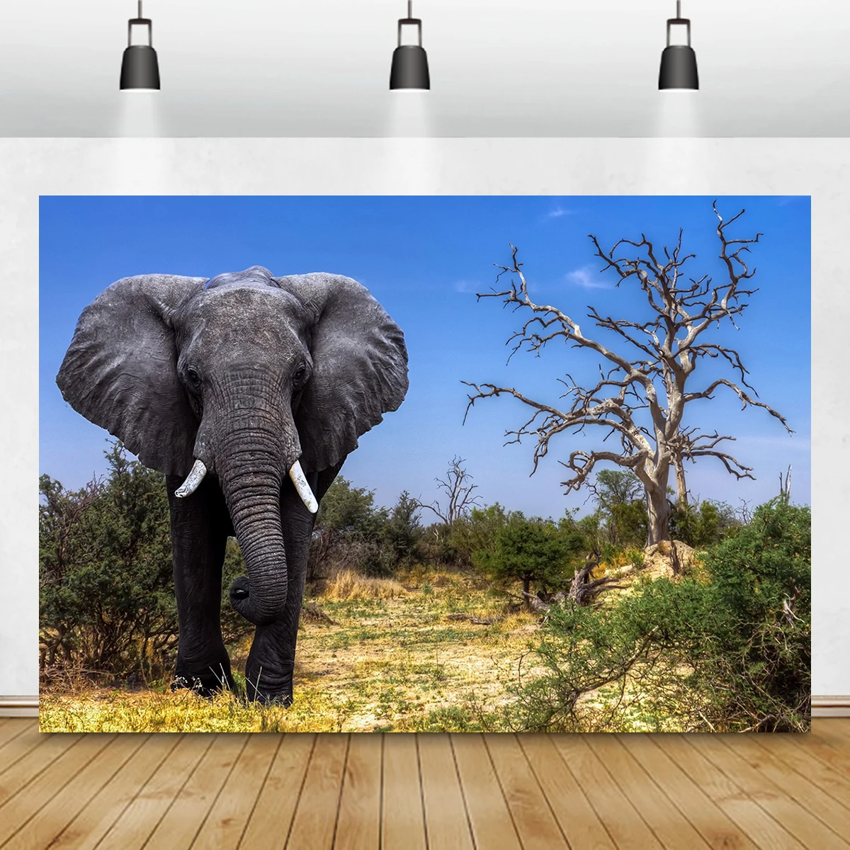 10x6ft African Savannah Forest Animal Livingroom Elephant Family Sunset Grgeous TV Backdrop College Dorm Decor Photo Shoot Props