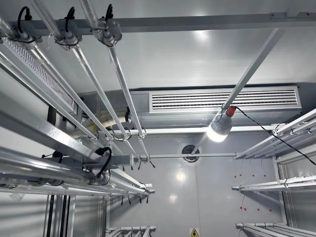 40ft Shipping Container Hydroponic Farm Vertical Growing System for Commercial Greenhouse Plant Cultivation Custom
