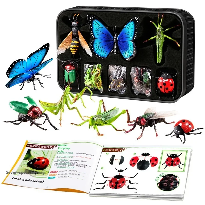 

5-10 Years Kids DIY 4D Insect Model Kit - Educational Toy for Boys & Girls