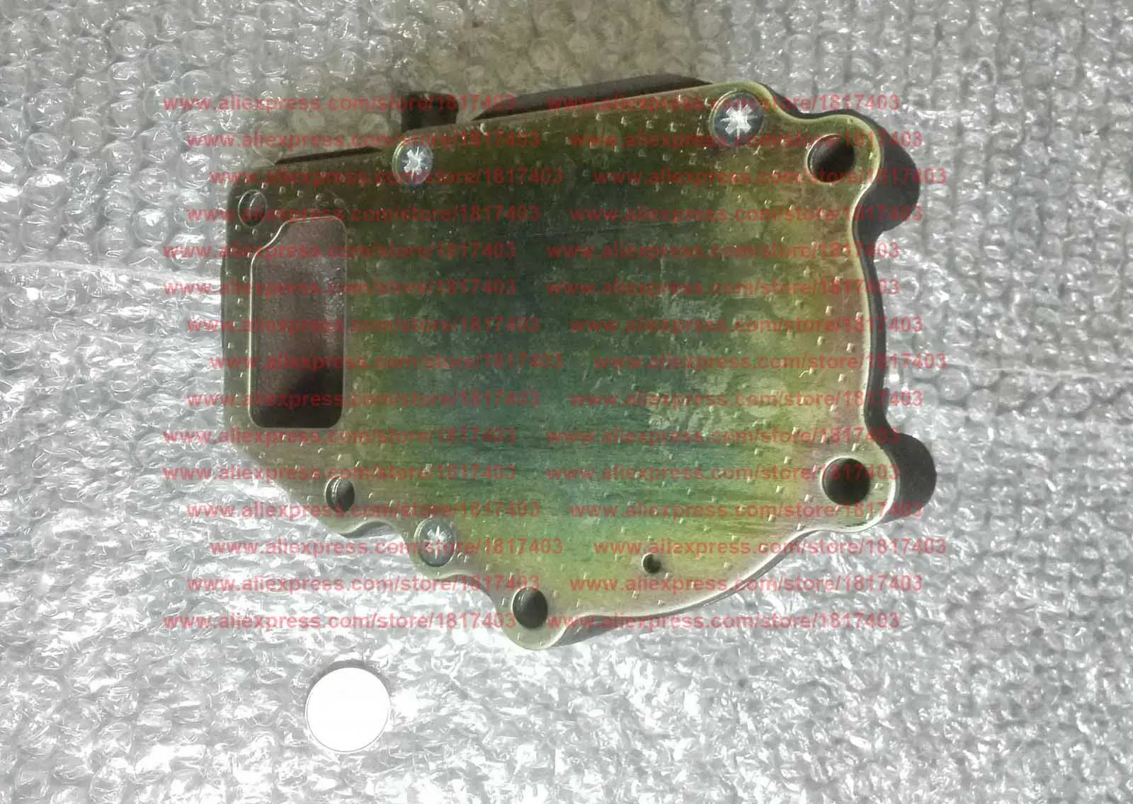 Fujian Lijia 100TY-42000-1 Водяной насос, детали дизельного двигателя Fujian Lijia SL3105BT / SL3105ABT