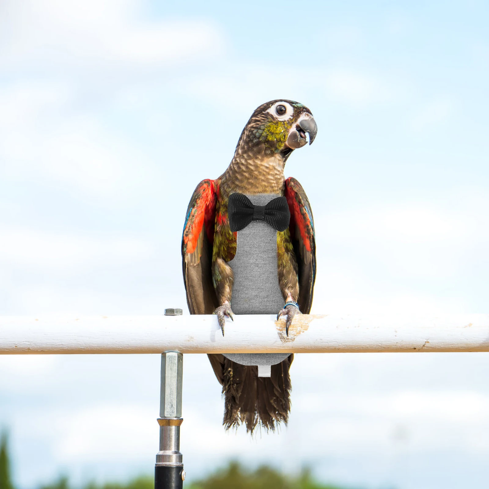 

Reusable Parrot Clothing Beautiful Prints Patterns Suitable for Cockatoos Lovebirds Parakeet Cage Accessories Bird Clothes