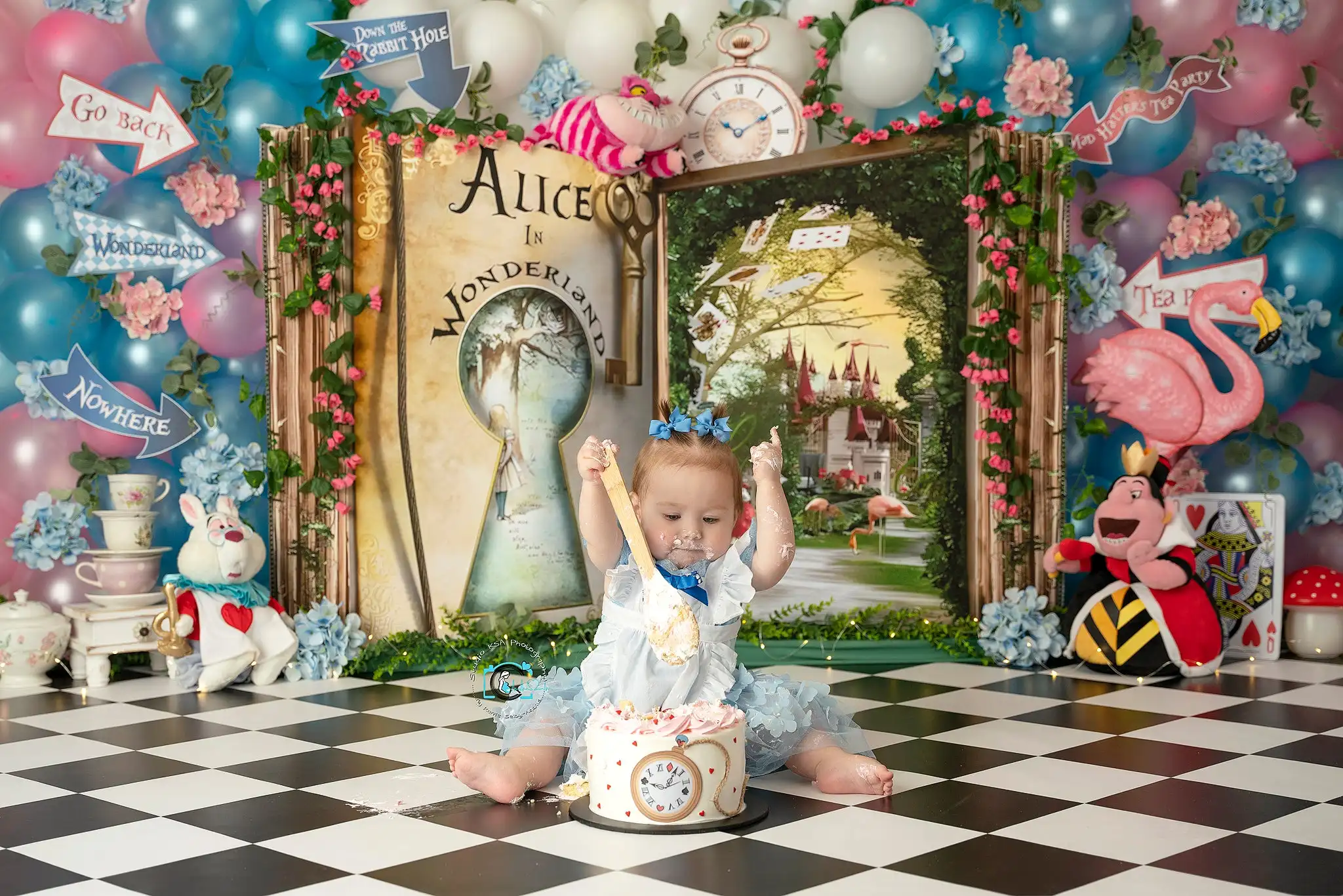 Wonderland Themed Photography  - огляд і ціна Photography Book