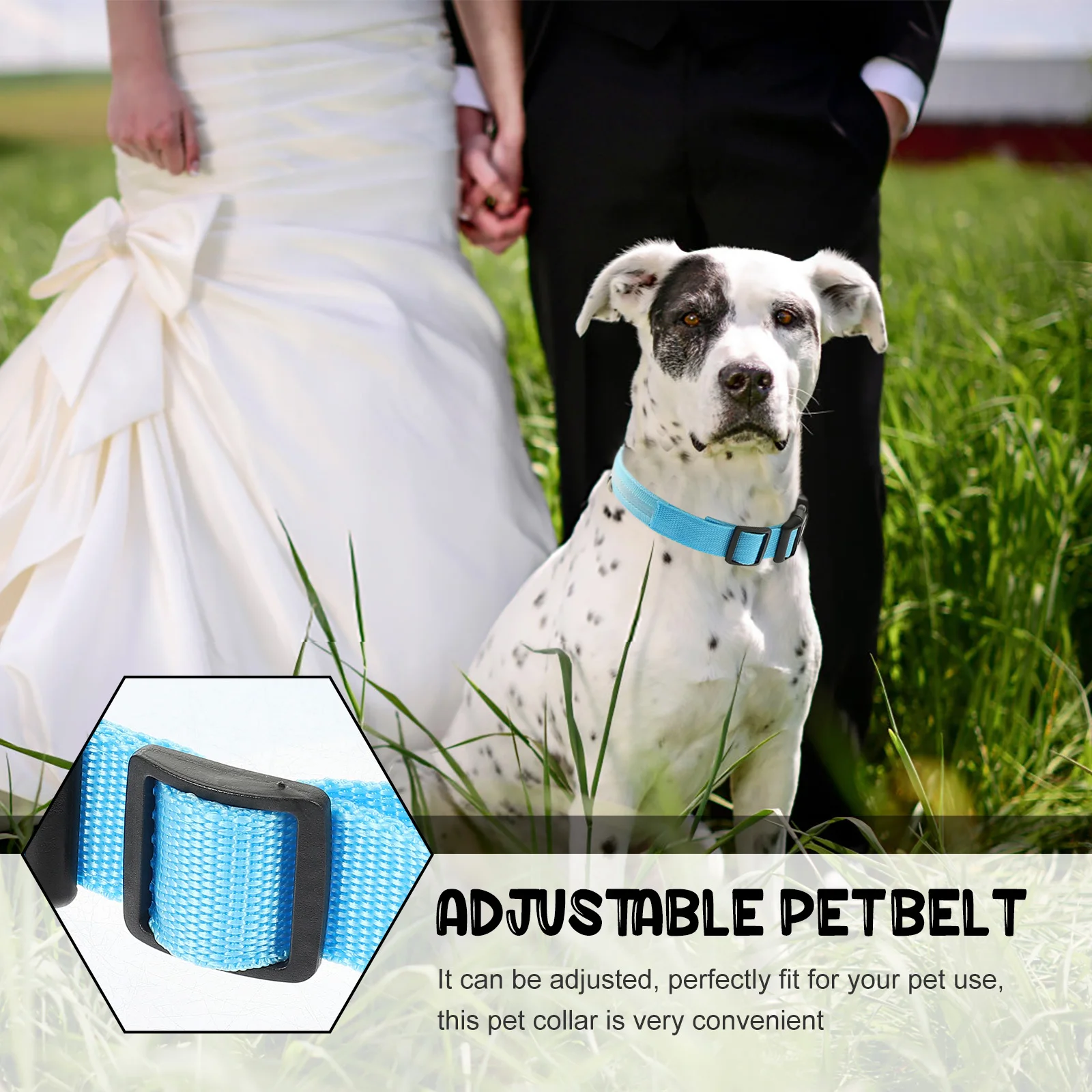 

1Set Pet Dog Luminous Collar Adjustable Rechargeable Night Safety Light Up Dog Collar Puppy Neck Decoration Pet Neck Decoration